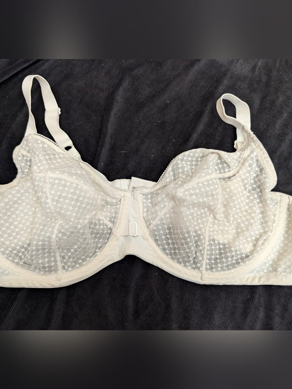 Playtex Sheer Dot Underwire Bra - Ivory